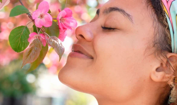 The Sense of Smell – How does it all work?
